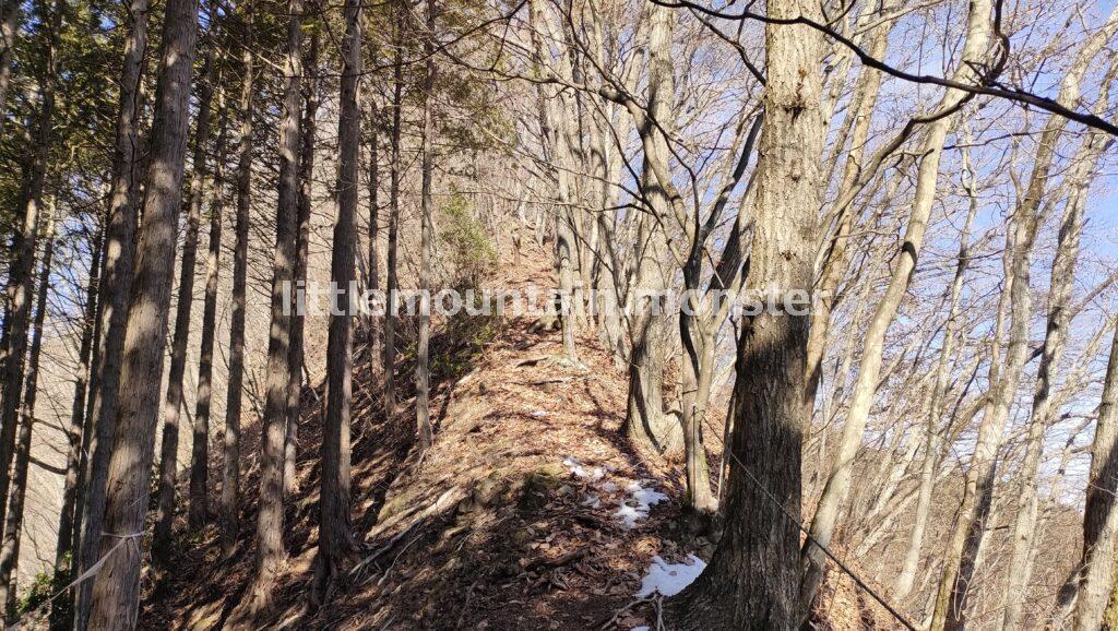 秩父御嶽山へ踏み入る者を試すかのような痩せ尾根