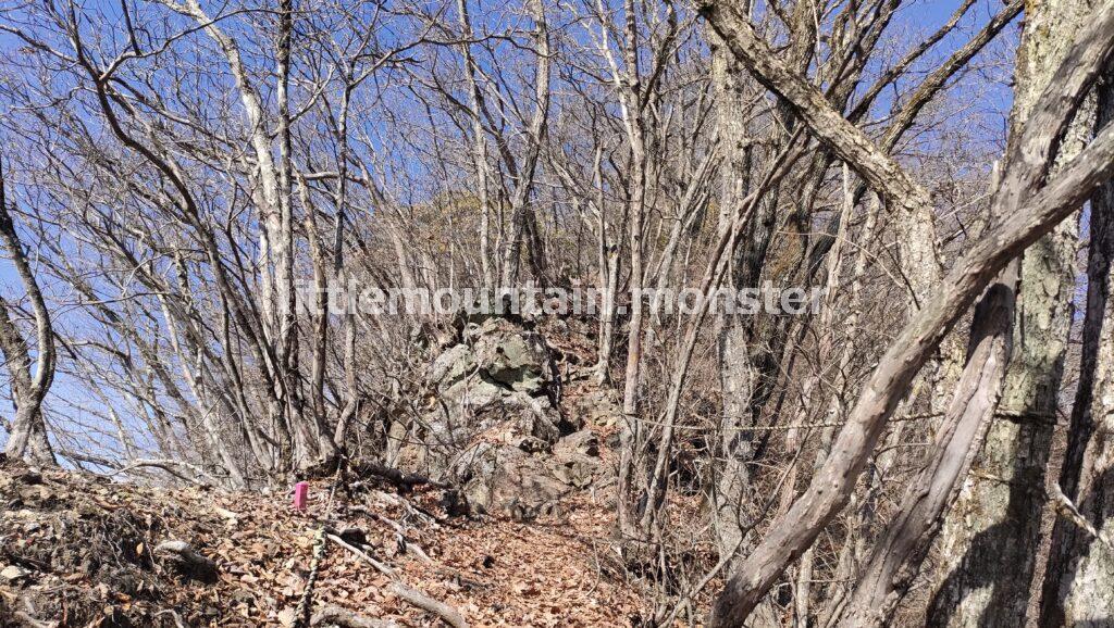 秩父御嶽山へ踏み入る者を試すかのような痩せ尾根