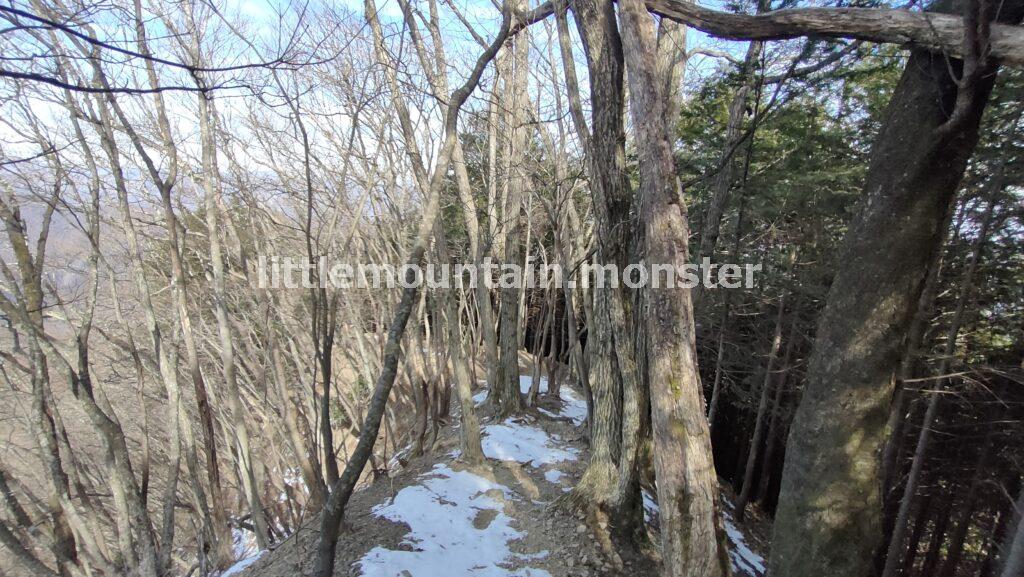 町分（まちぶん）コースで三峰口駅目指して下山