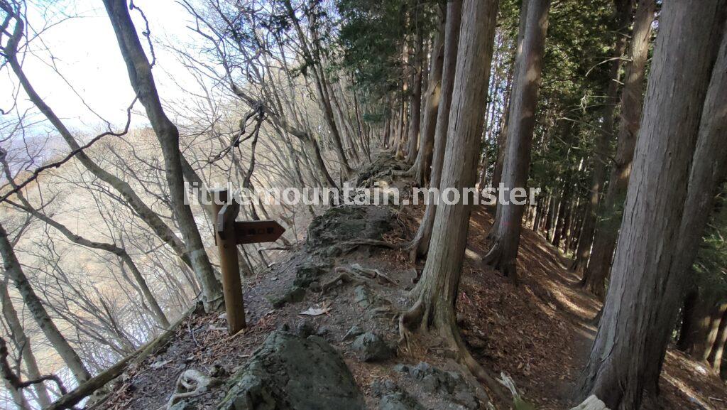 タツミチの分岐点