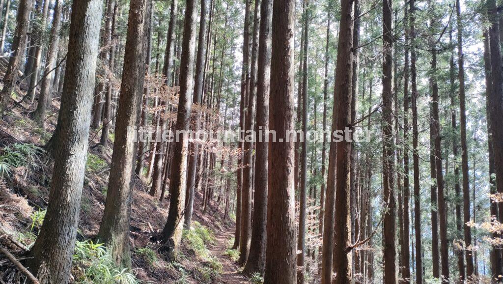 町分（まちぶん）コースで三峰口駅目指して下山