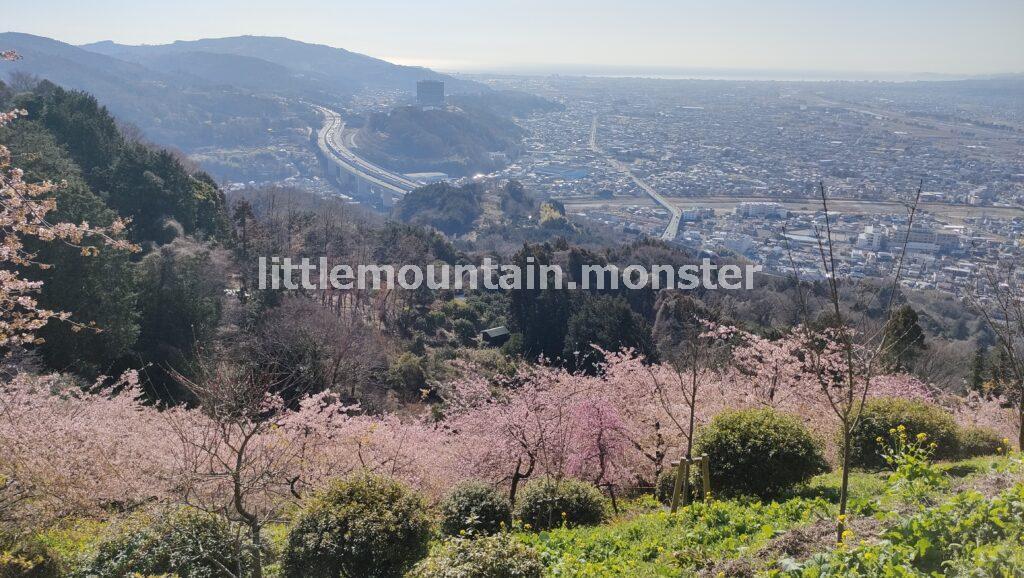梅もあるよ!あぐりパーク嵯峨山苑に立ち寄ることに