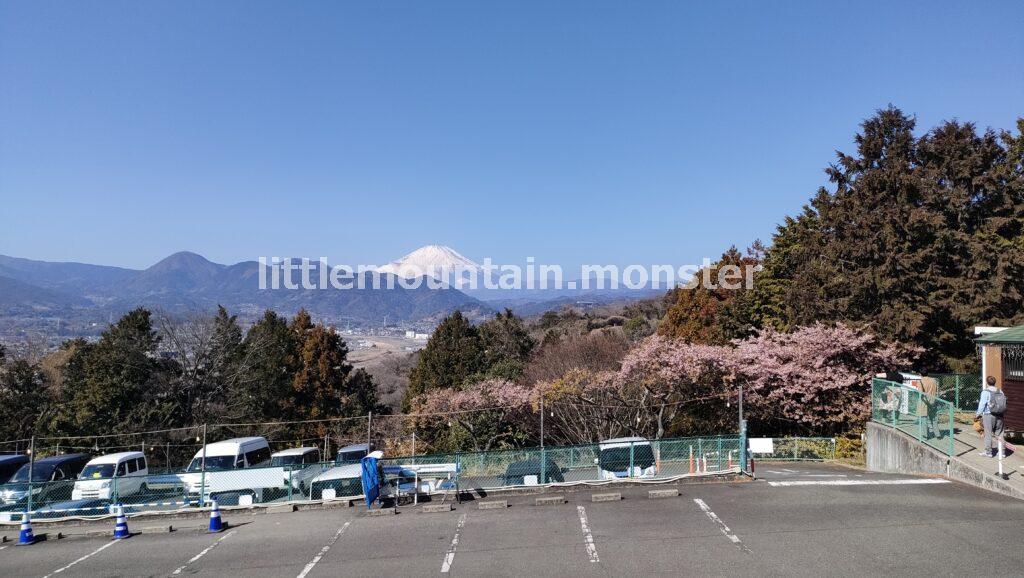 大人気!まつだ桜まつり@西平畑公園