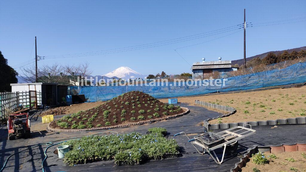 富士山ドーン!舗装コンクリの道を松田山山頂へ登る