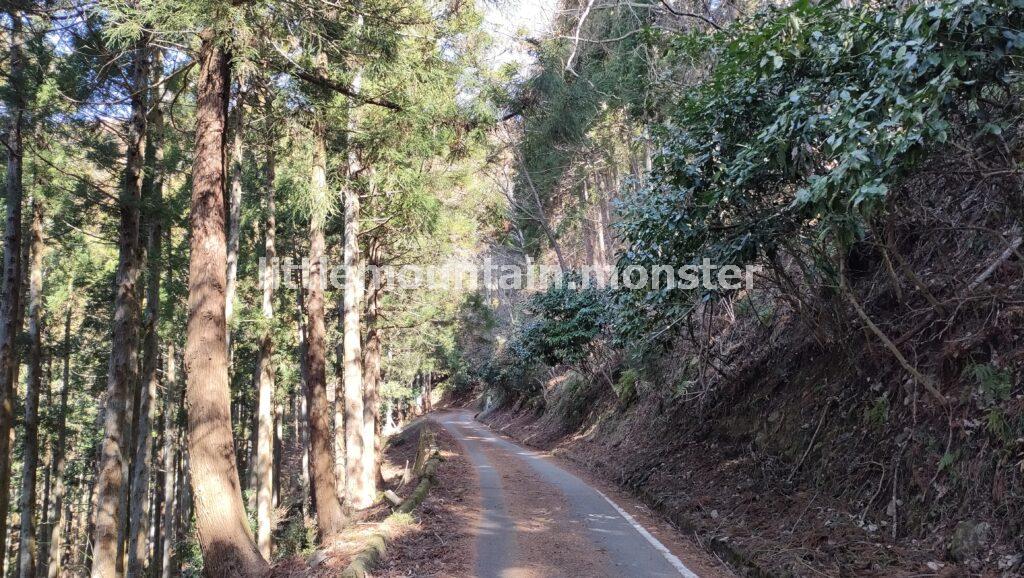 富士山ドーン!舗装コンクリの道を松田山山頂へ登る