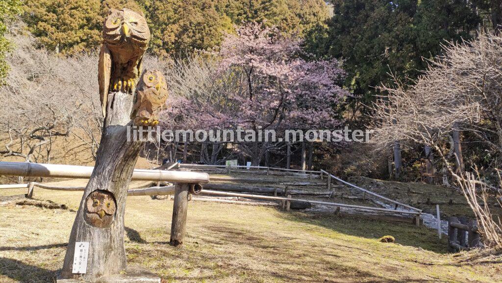 富士山ドーン!舗装コンクリの道を松田山山頂へ登る