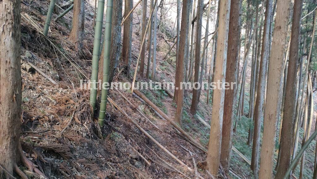 垂直岩登りを直前で回避し、蝋梅園のある「山居」に抜ける道がある