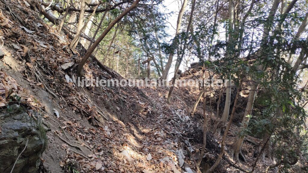 垂直岩登りを直前で回避し、蝋梅園のある「山居」に抜ける道がある