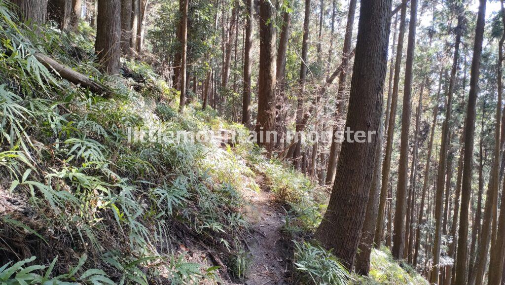 垂直岩登りを直前で回避し、蝋梅園のある「山居」に抜ける道がある