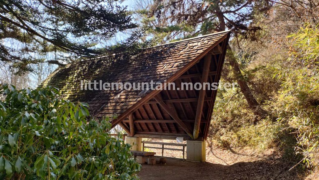 ロウバイ、梅、福寿草！四阿屋山の山居にて香りで早春を感じる