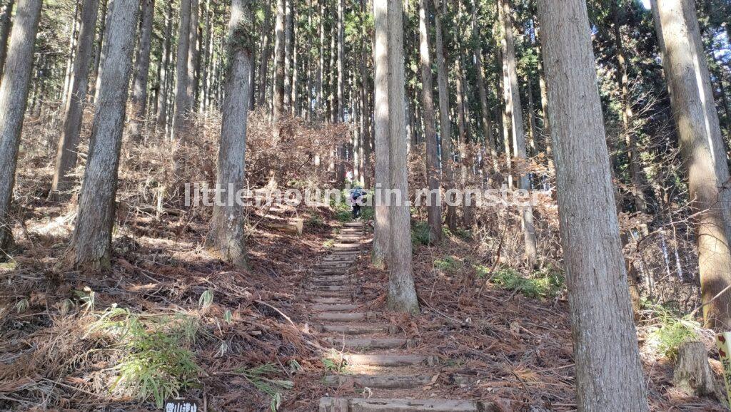 ロウバイ、梅、福寿草！四阿屋山の山居にて香りで早春を感じる