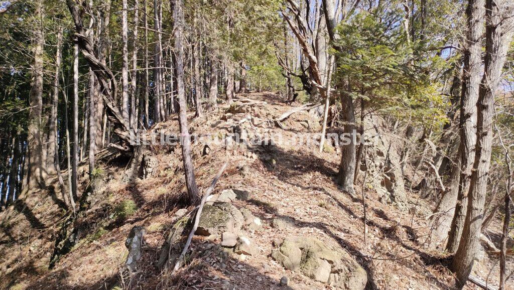 鳥居山コースで平穏に四阿屋山から下る