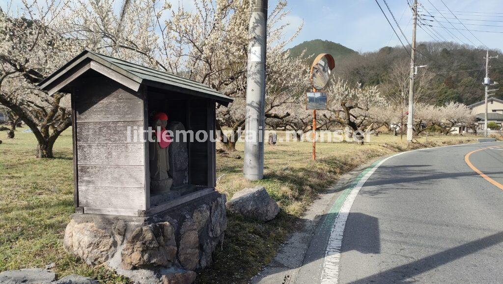 梅園以外にも越生には梅がいっぱい