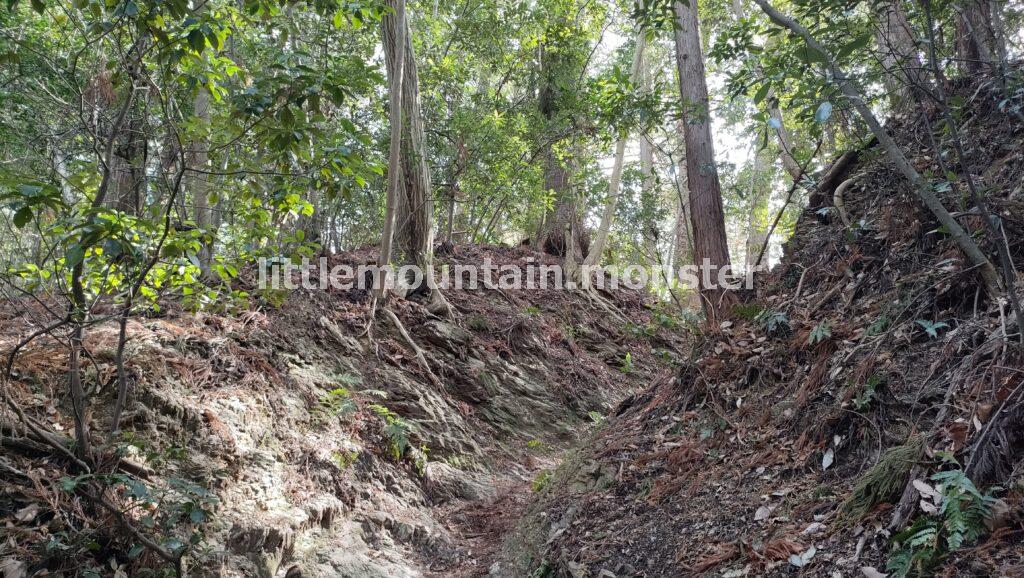 霞の正体は花粉！涙と鼻の神の座山→大高取山（376m）を登る
