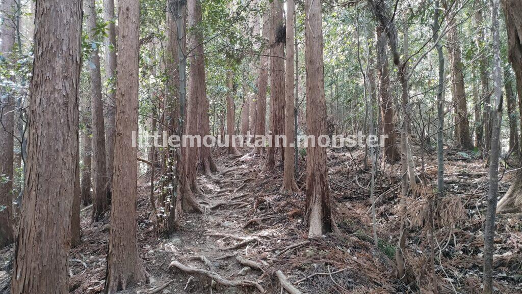 霞の正体は花粉！涙と鼻の神の座山→大高取山（376m）を登る