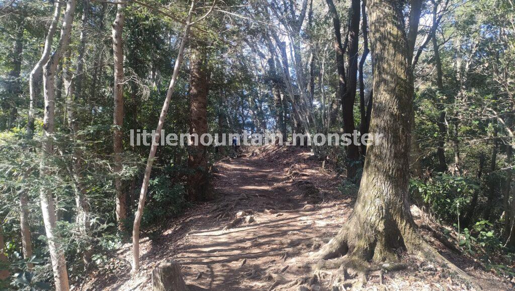 稲荷山コース:通行止め解除!高尾山の「きつい」コースに挑戦