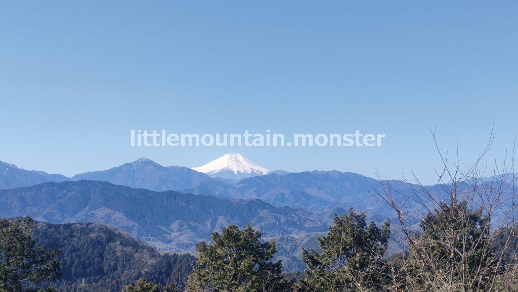 大人気を納得!富士山ドーン!高尾山山頂(599m)大見晴台
