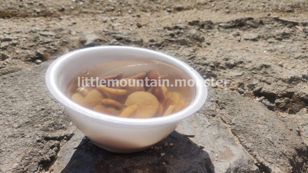 大人気を納得!富士山ドーン!高尾山山頂(599m)大見晴台