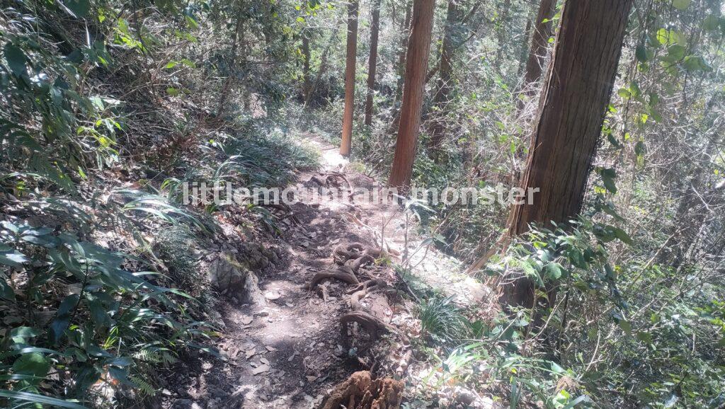 蛇滝(じゃたき)コースには可愛らしい花と祈りがたっぷり