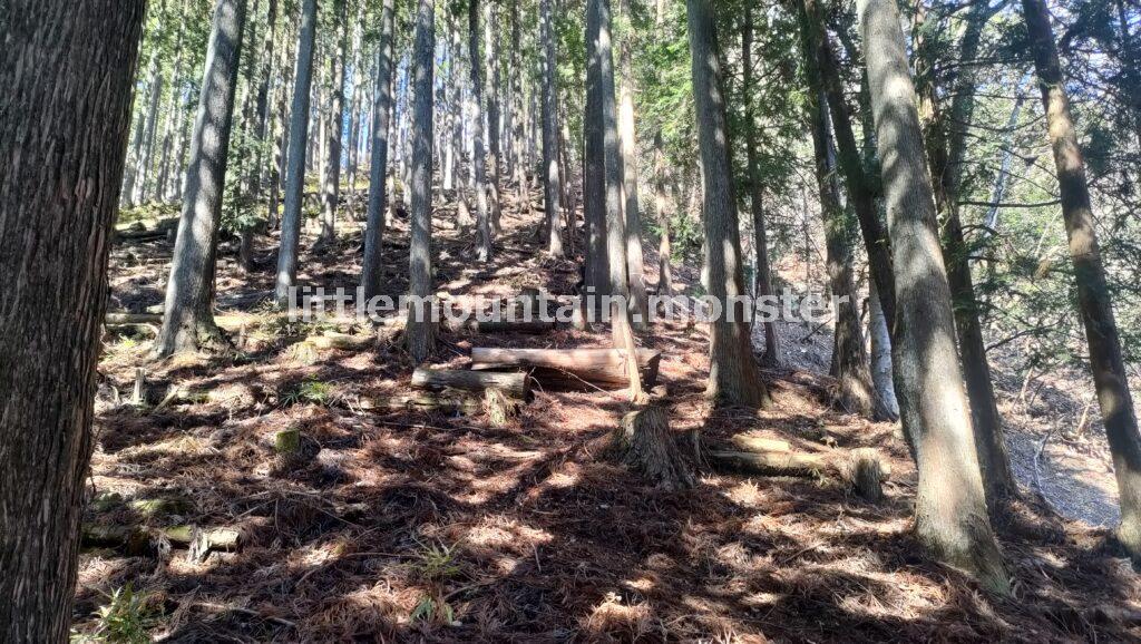 ミツバ岳登山口から、ミツマタ街道へ！頂上を目指す