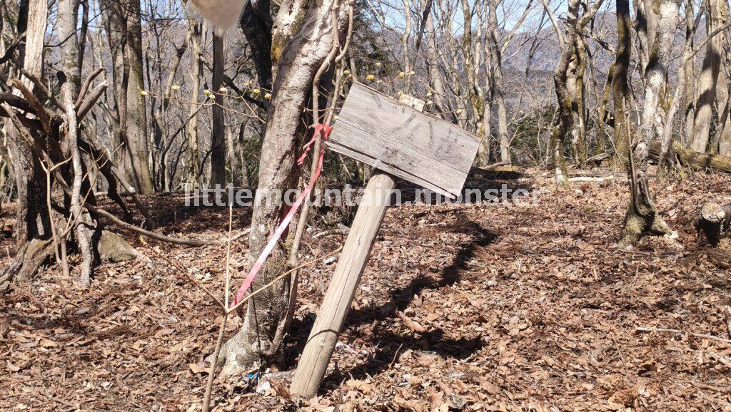 ミツマタ×富士山のコラボ！ミツバ岳（大出山/834m）の山頂の絶景