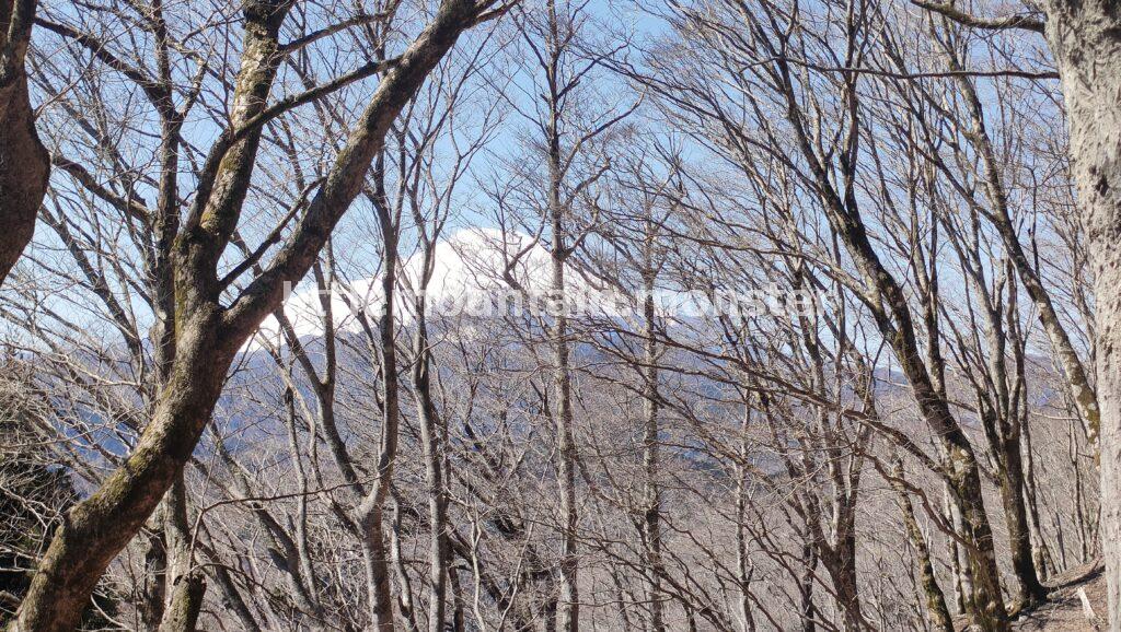 富士山を背に登る！権現山（1018m）