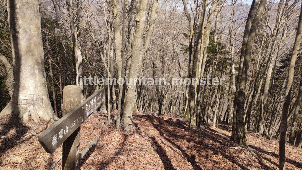 踏み跡が…。分かりづらい道を上ノ原登山口（細川橋バス停）目指して進む