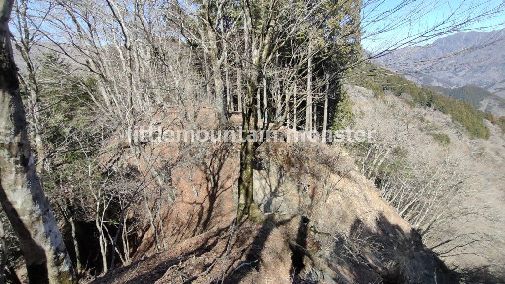 踏み跡が…。分かりづらい道を上ノ原登山口（細川橋バス停）目指して進む