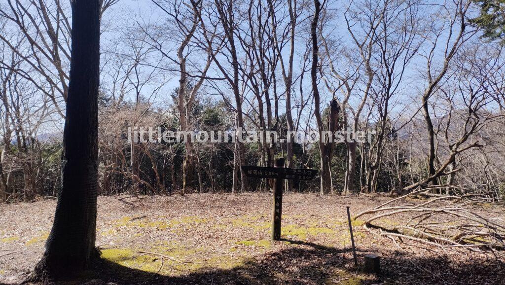 踏み跡が…。分かりづらい道を上ノ原登山口（細川橋バス停）目指して進む