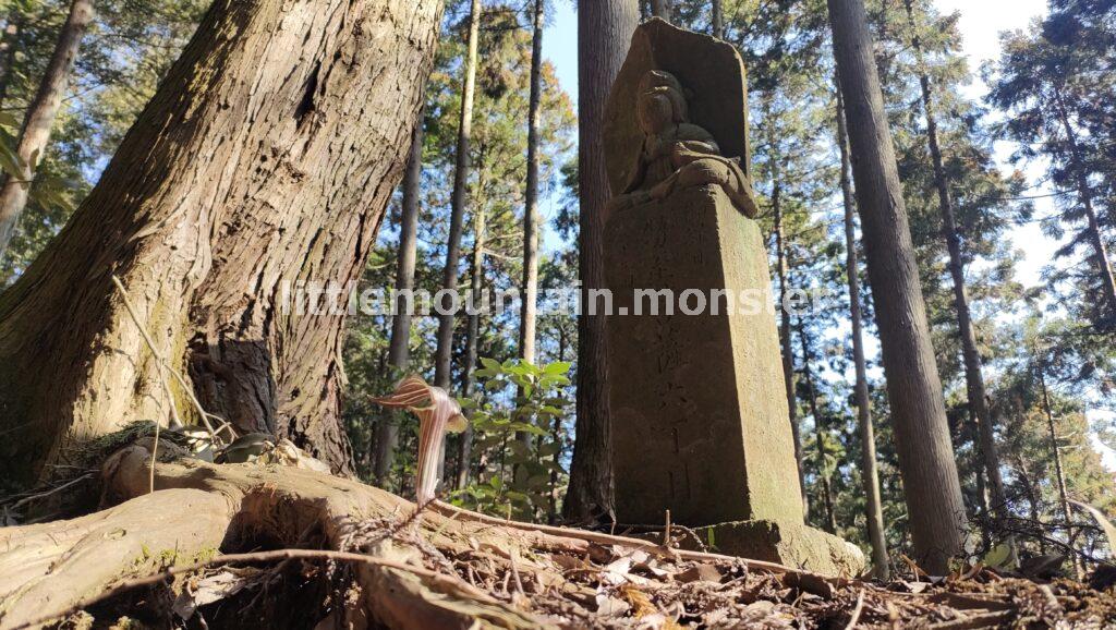 鐘ヶ獄の山頂目指し、浅間神社の参道を登る