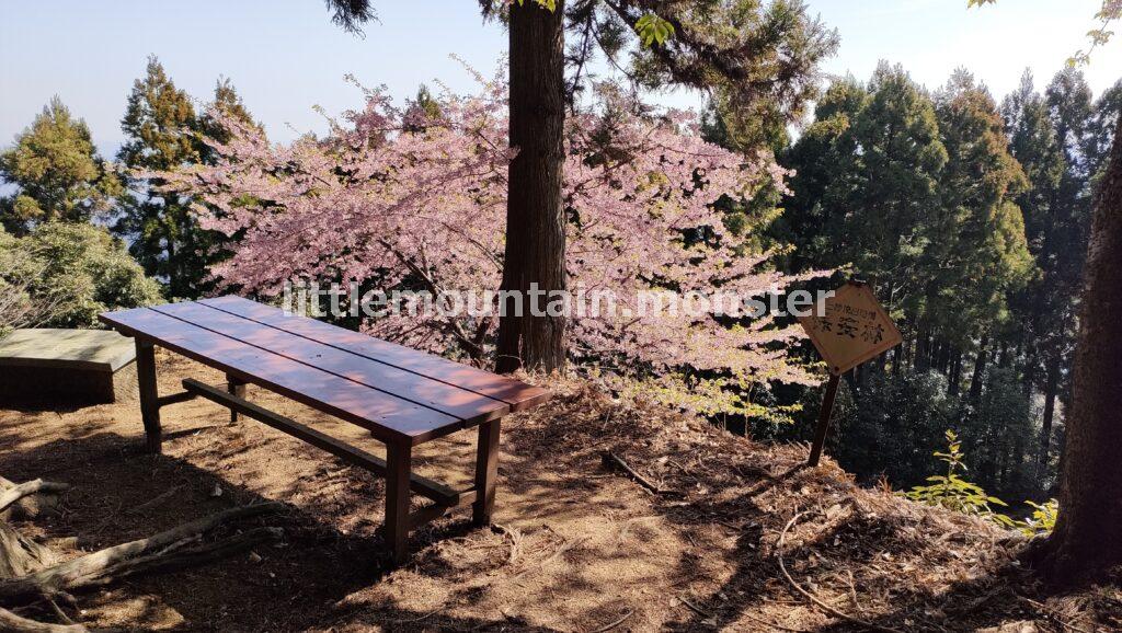 鐘ヶ獄の山頂目指し、浅間神社の参道を登る