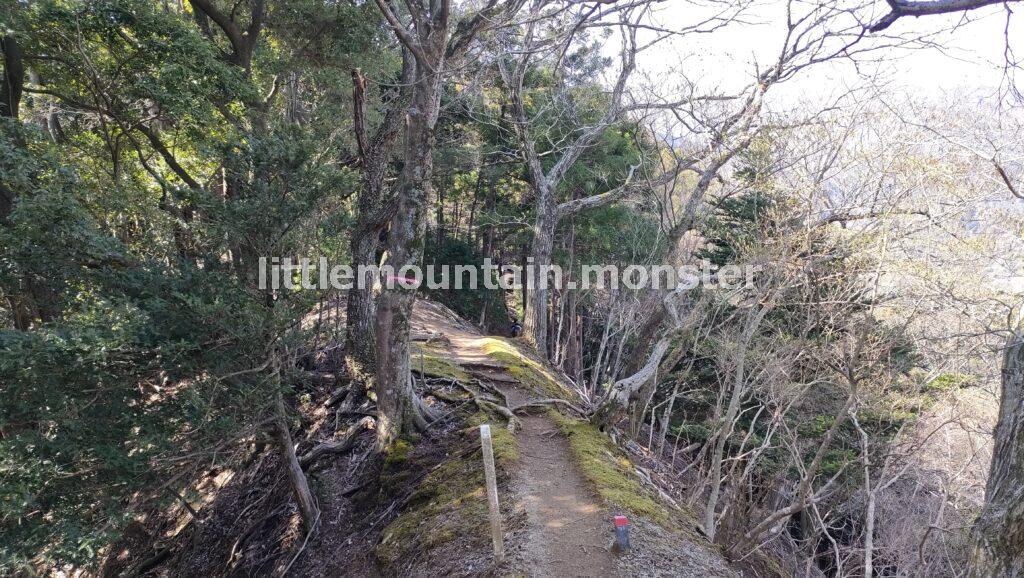 鐘ヶ獄の山頂目指し、浅間神社の参道を登る