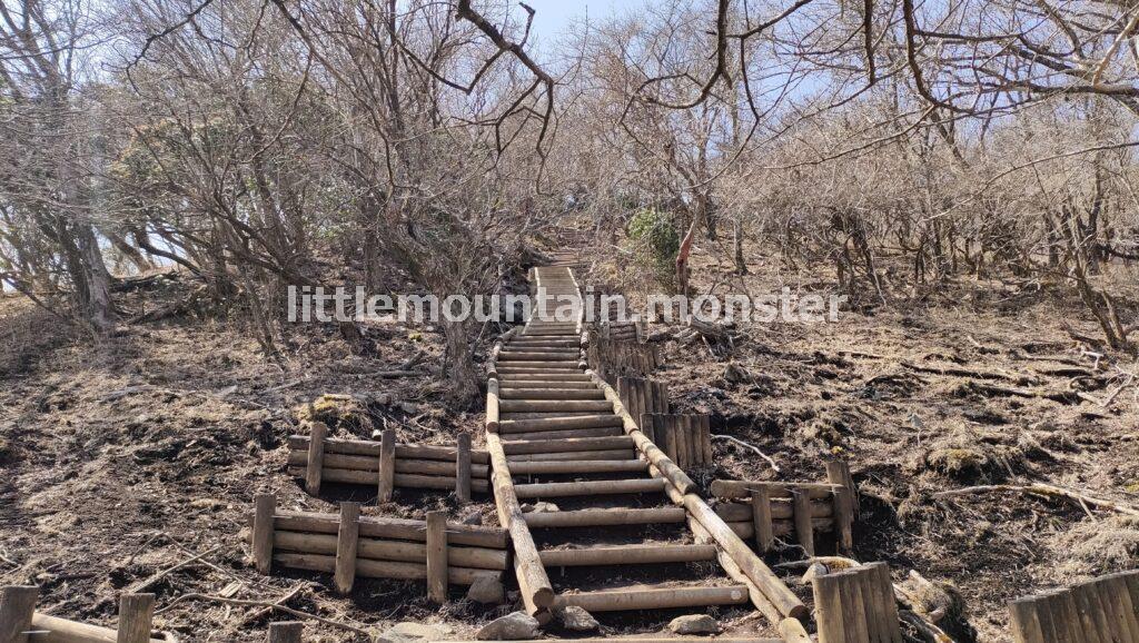 大山(1512m)山頂を目指して、ひたすら登る。