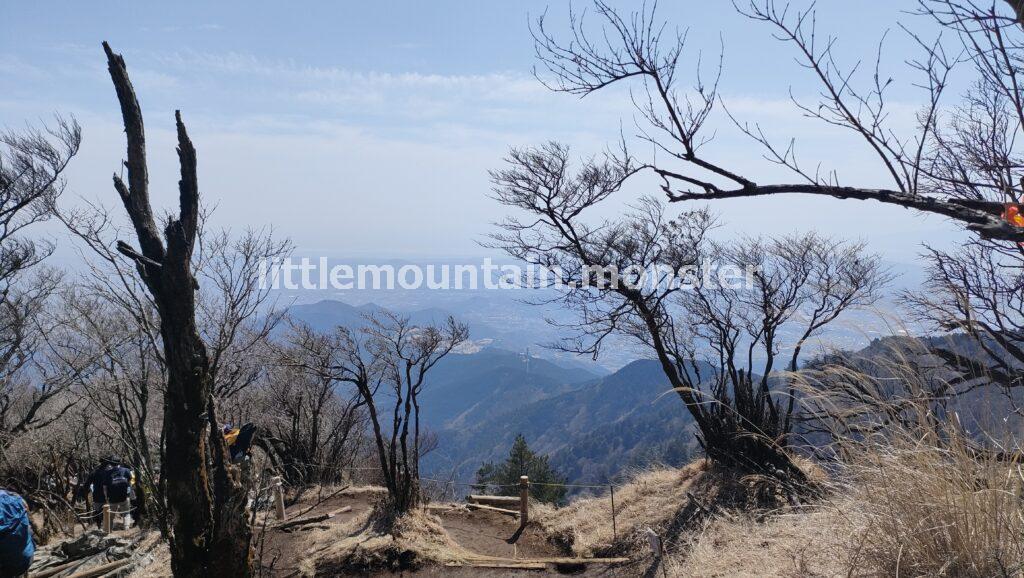 大山(1512m)山頂を目指して、ひたすら登る。