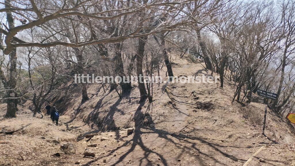 ヤビツ峠方面は静かな道!のどかに下山する