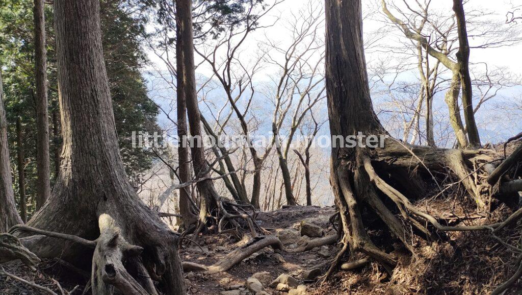 ヤビツ峠方面は静かな道!のどかに下山する