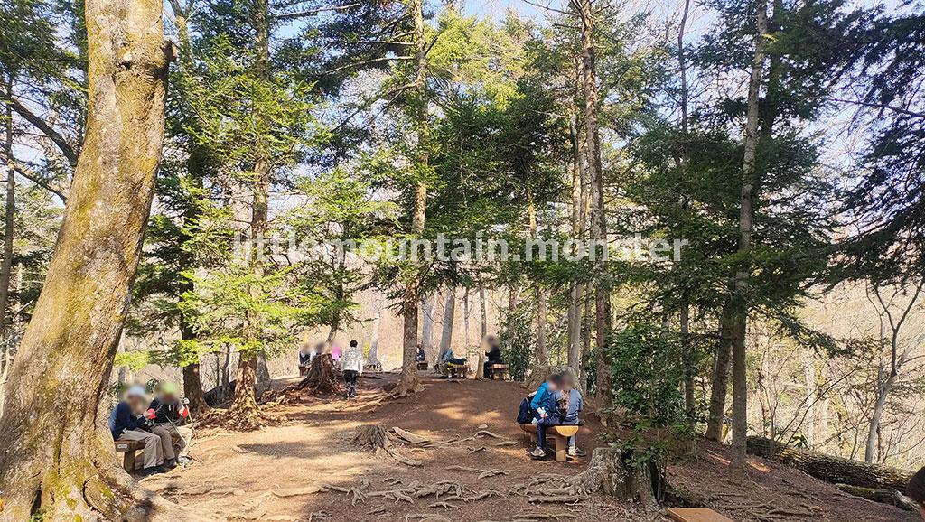 琵琶滝、沢沿いの高尾山6号路！足元の小さな花たちに気づいてあげて