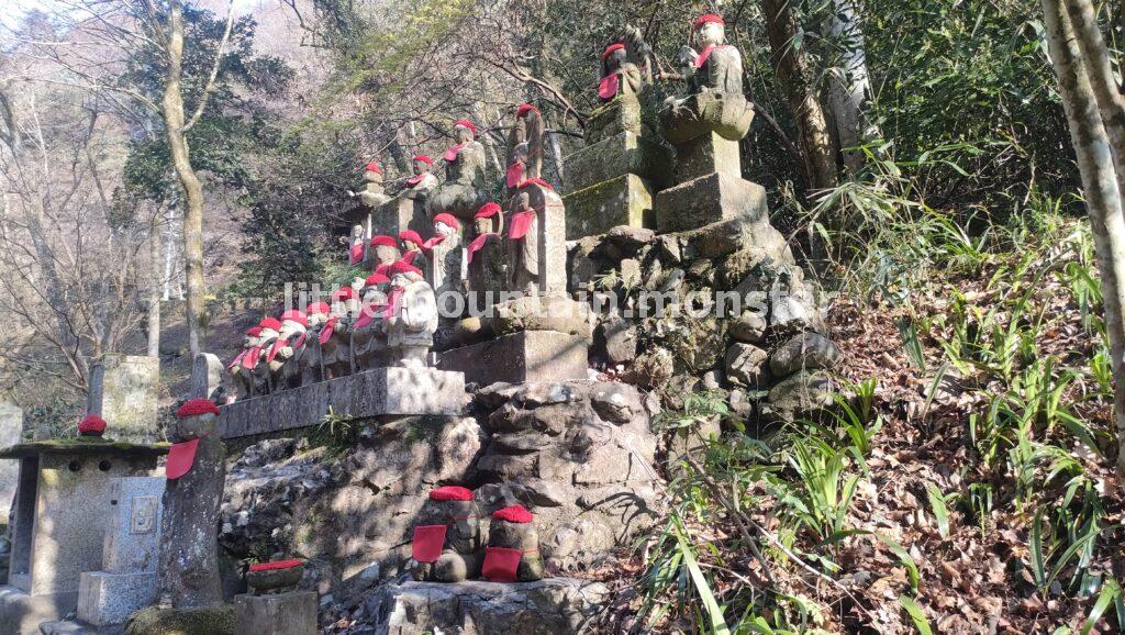 琵琶滝、沢登りの6号路！足元の小さな花たちに気づいてあげて