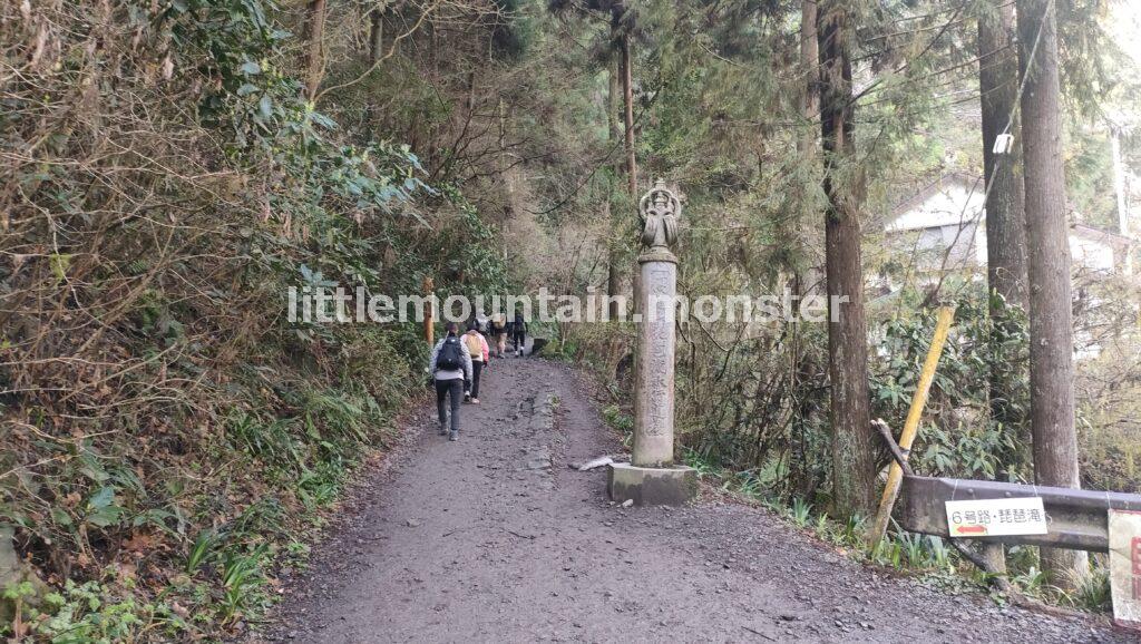 琵琶滝、沢登りの高尾山6号路！足元の小さな花たちに気づいてあげて