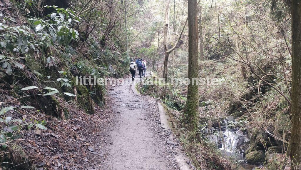 琵琶滝、沢沿いの高尾山6号路！足元の小さな花たちに気づいてあげて