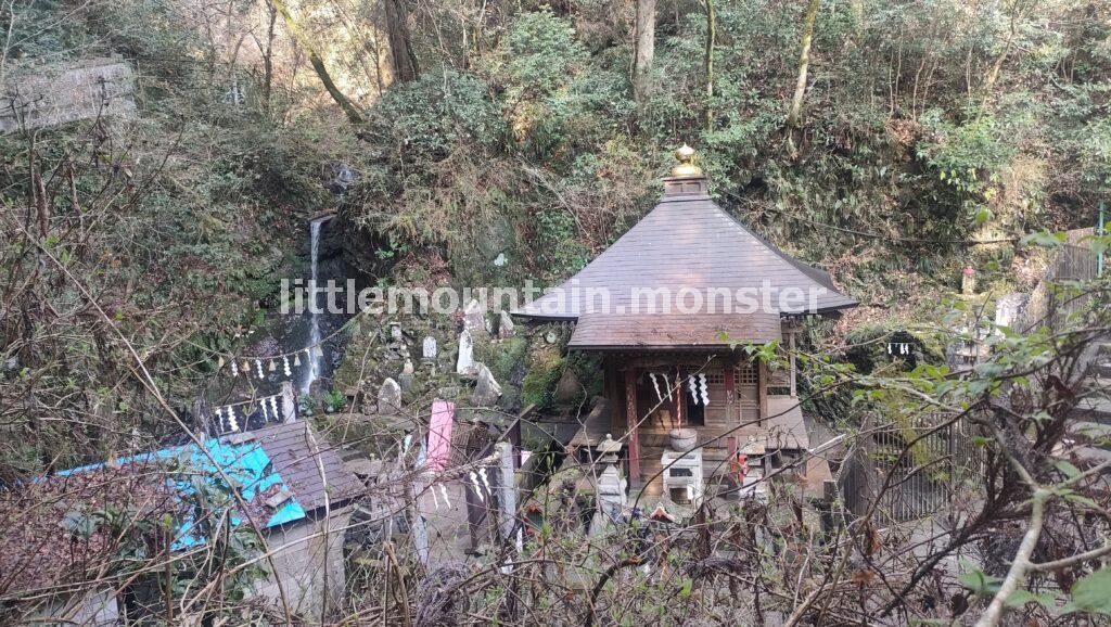 琵琶滝、沢沿いの高尾山6号路！足元の小さな花たちに気づいてあげて