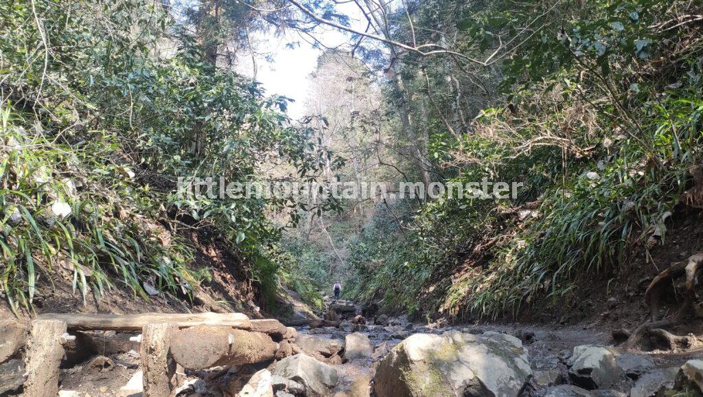 琵琶滝、沢沿いの高尾山6号路！足元の小さな花たちに気づいてあげて