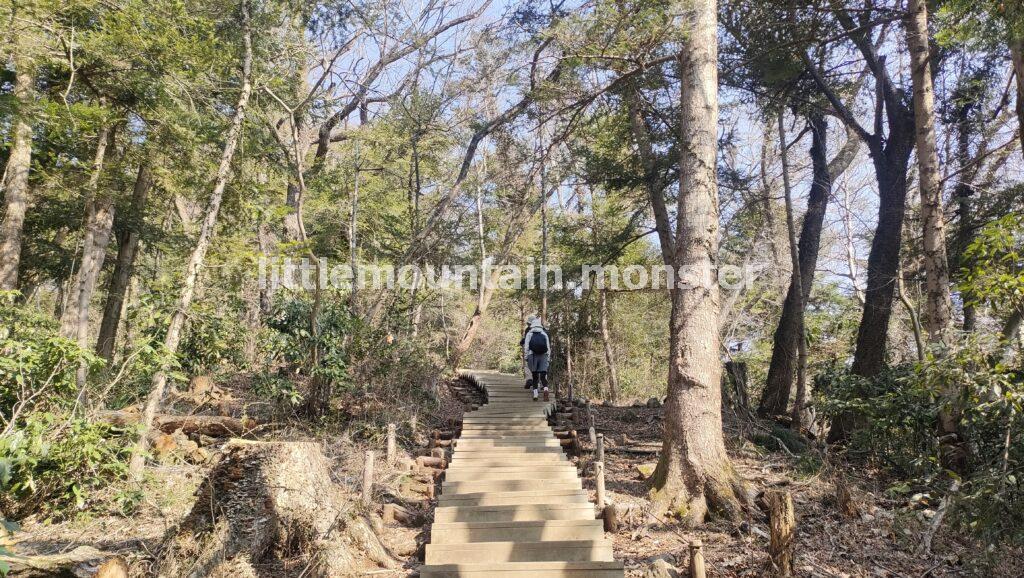 琵琶滝、沢沿いの高尾山6号路！足元の小さな花たちに気づいてあげて