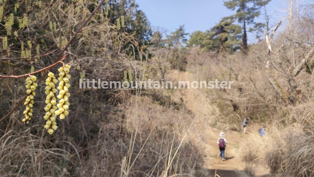 城山（小仏城山）：名物のなめこ汁で至福の時