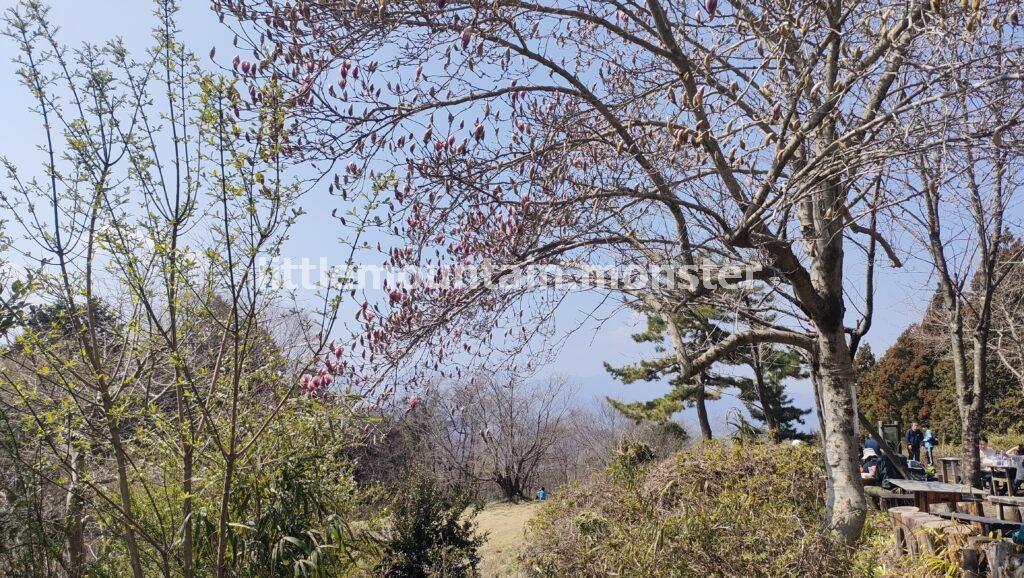 城山（小仏城山）：名物のなめこ汁で至福の時