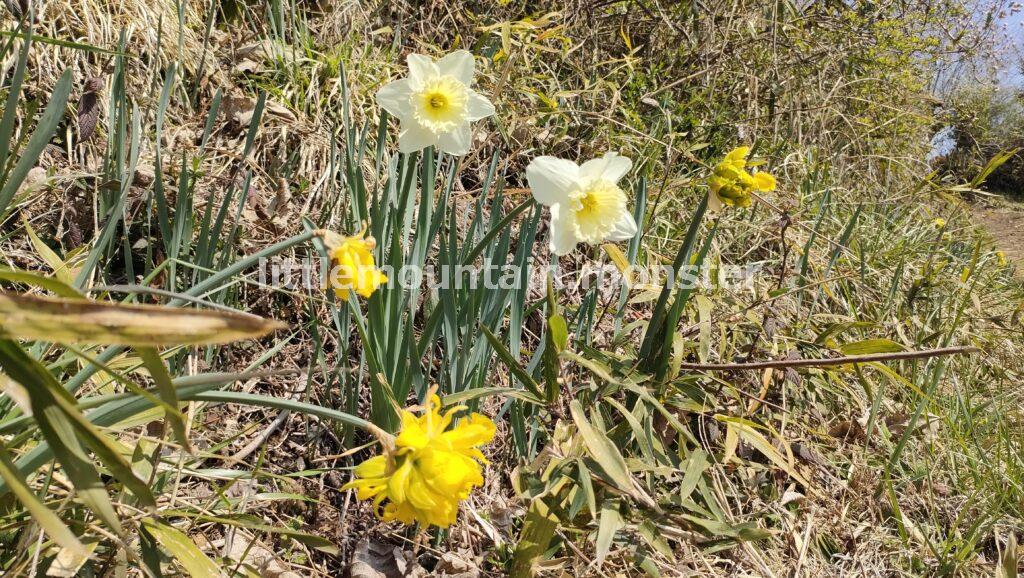 城山（小仏城山）：名物のなめこ汁で至福の時