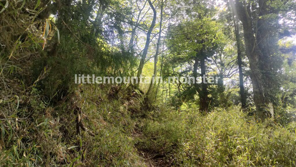 見逃さないで！橋を渡り、民家の横から浅利登山口へ