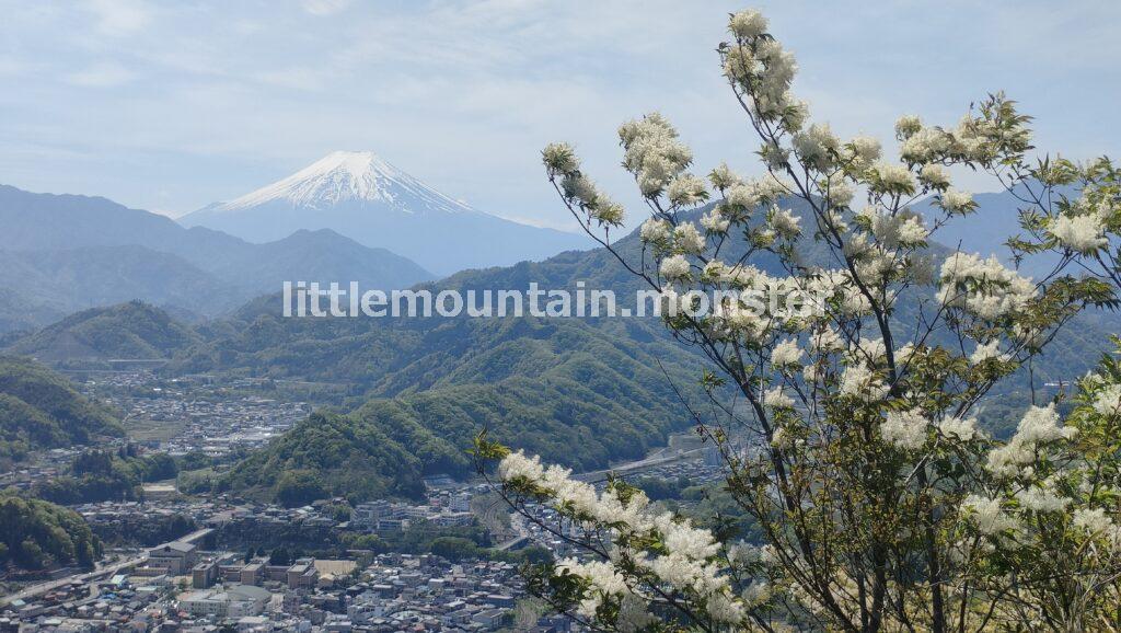 富士山ドーン！岩殿山山頂（634m）