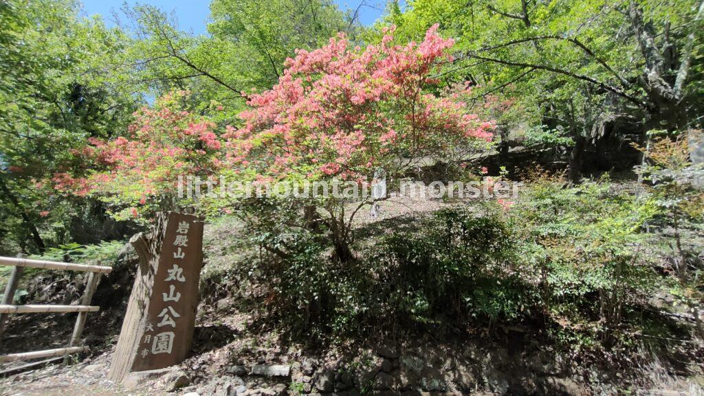 2025年×6年ぶりに開通！新・強瀬ルートで下山