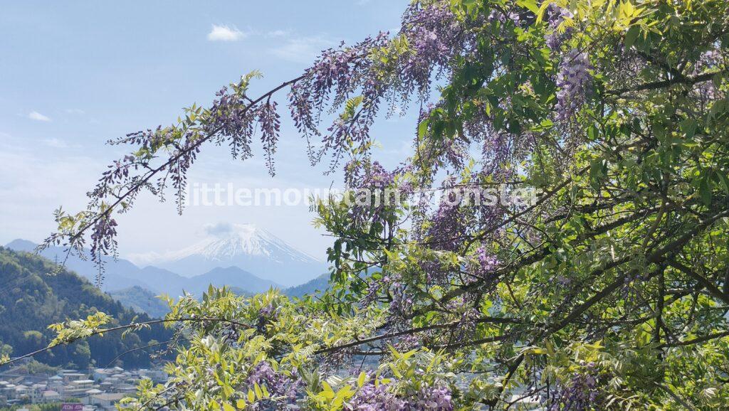 2025年×6年ぶりに開通！新・強瀬ルートで下山